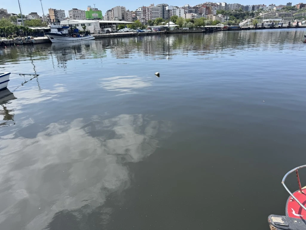 Bandırma nefes alamıyor