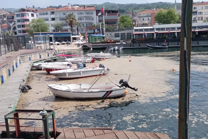Bursalı balıkçılara Müsilaj ağır darbe vurdu...